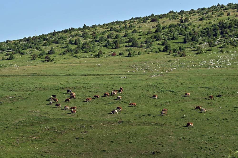Pešterska visoravan – galerija