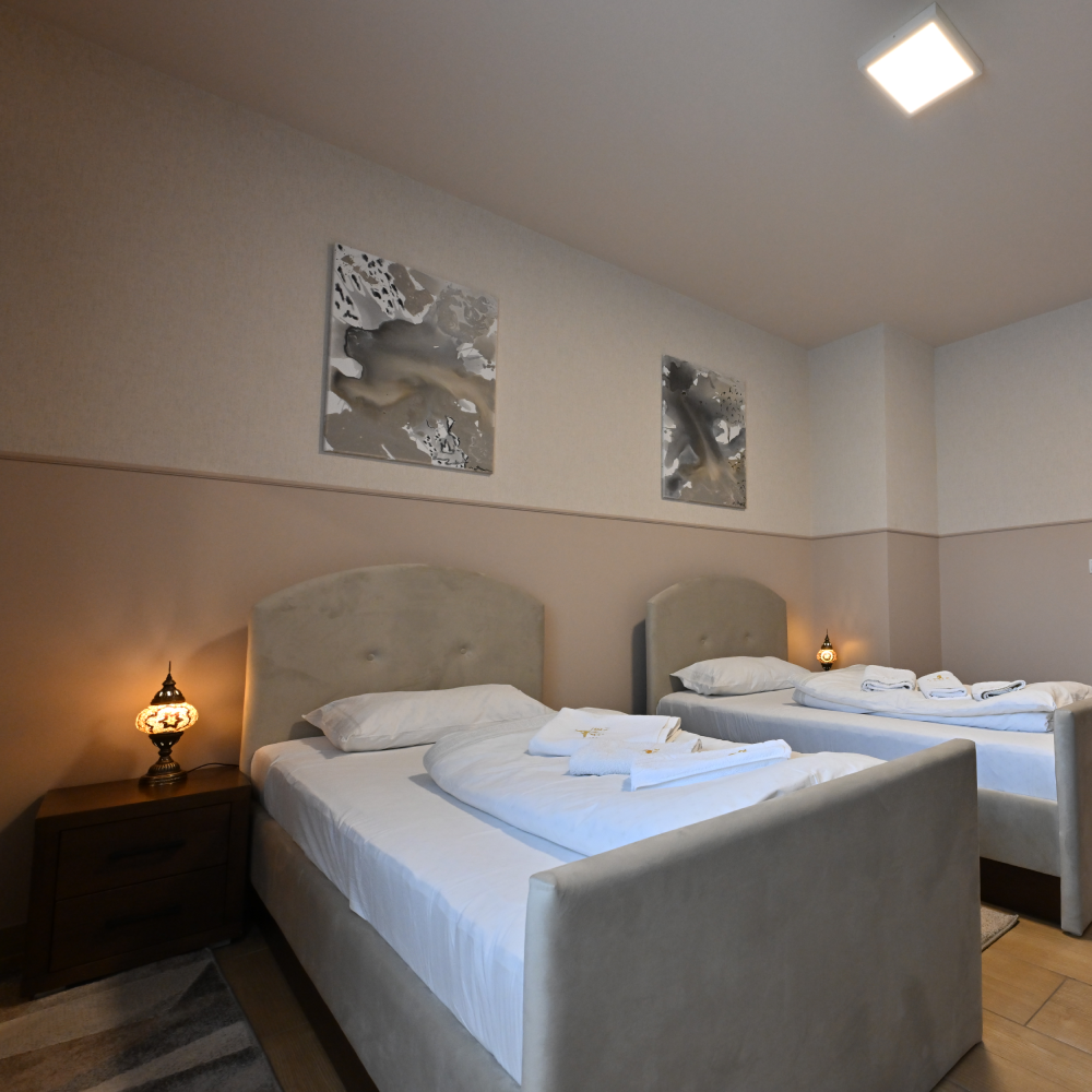 Luksuzna soba 101 sa balkonom – slika 4