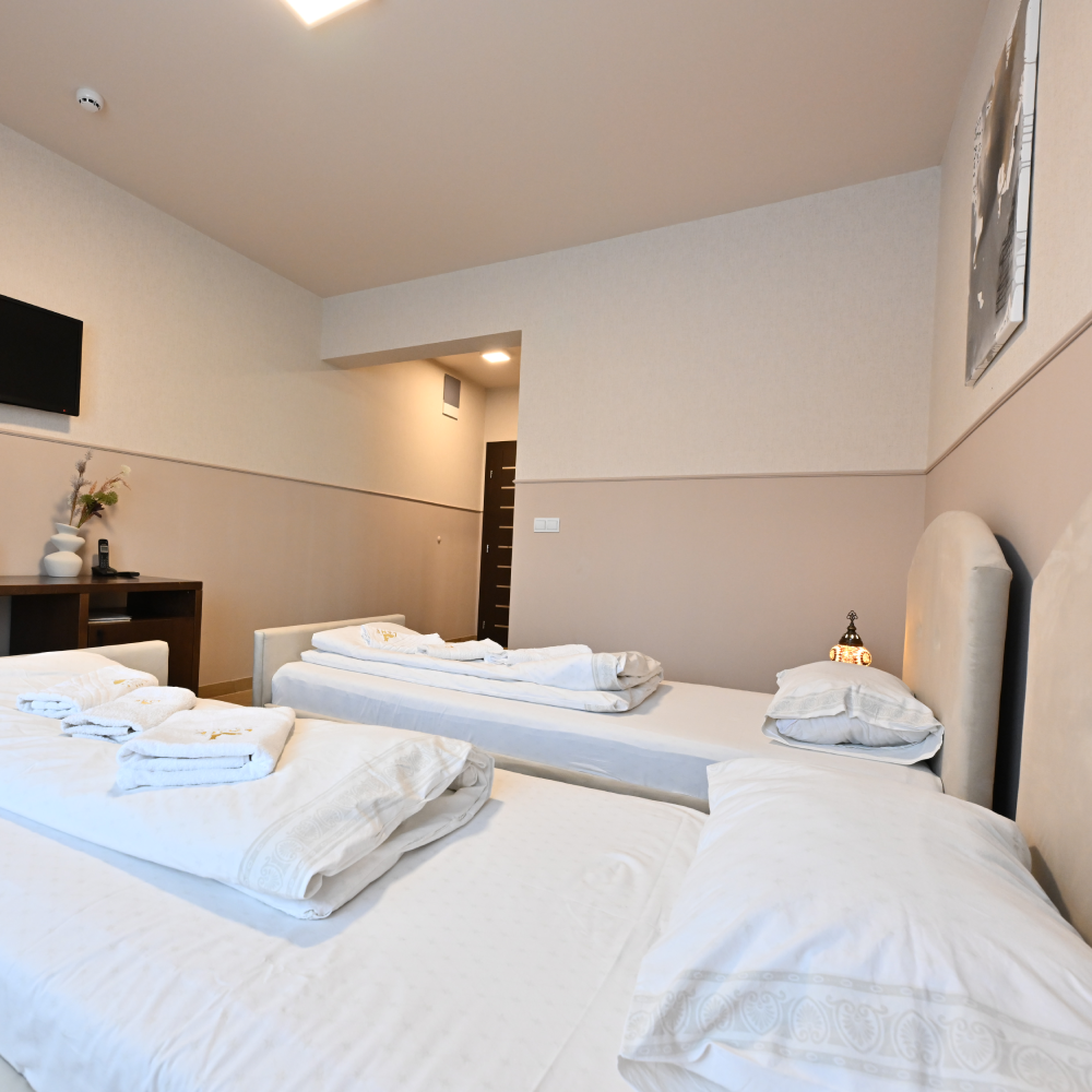 Luksuzna soba 102 sa balkonom – slika 4