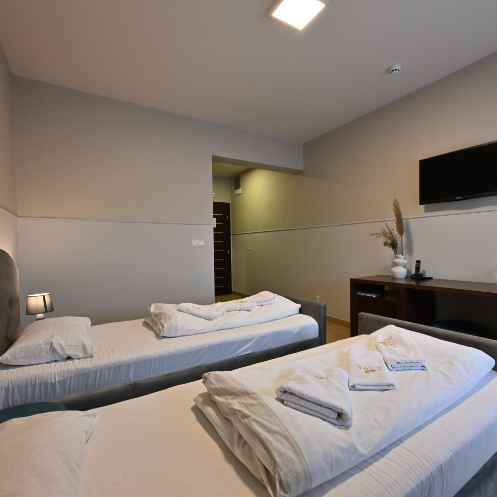 Luksuzna soba 103 sa balkonom – slika 3